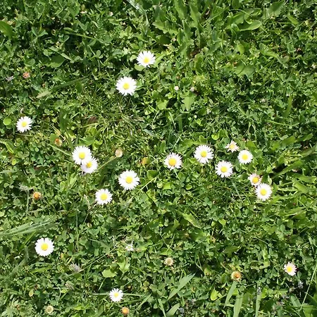 A Casa Da Meixida Padrón