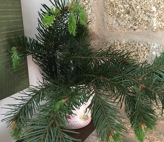 A Casa Da Meixida Padrón