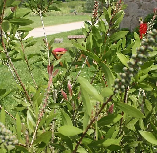 A Casa Da Meixida 5*