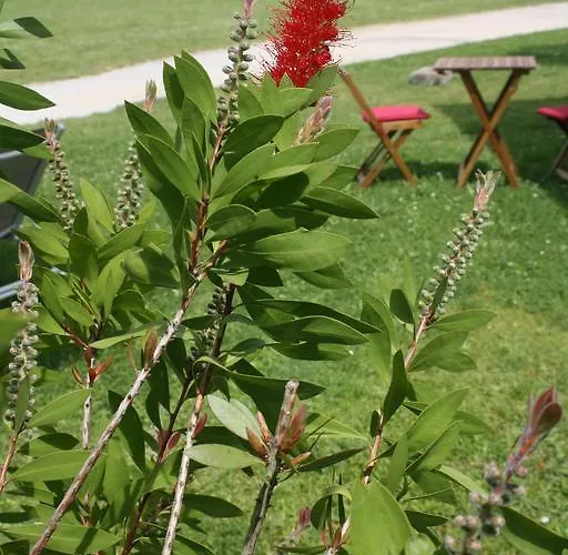 A Casa Da Meixida Hotel 5*