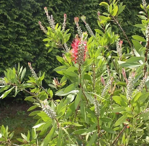 A Casa Da Meixida 5* Padrón