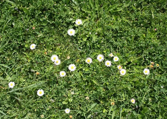 A Casa Da Meixida Padrón