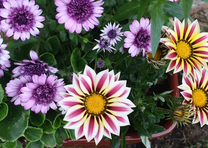 A Casa Da Meixida Hotel